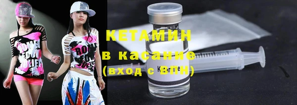 твердый Аркадак