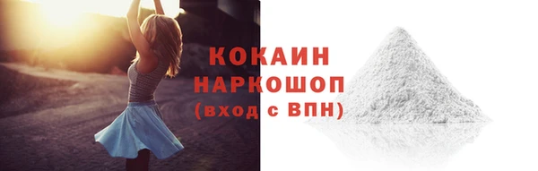 твердый Аркадак
