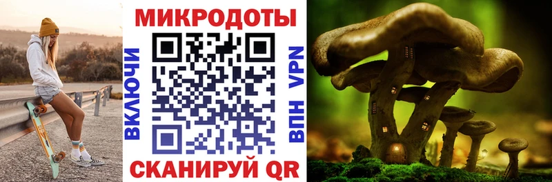 Псилоцибиновые грибы Psilocybine cubensis  Купить закладки  Киселёвск 